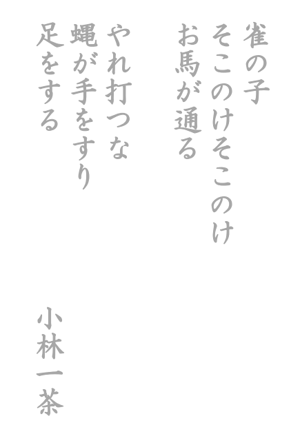 無料書字練習プリント俳句小林一茶b